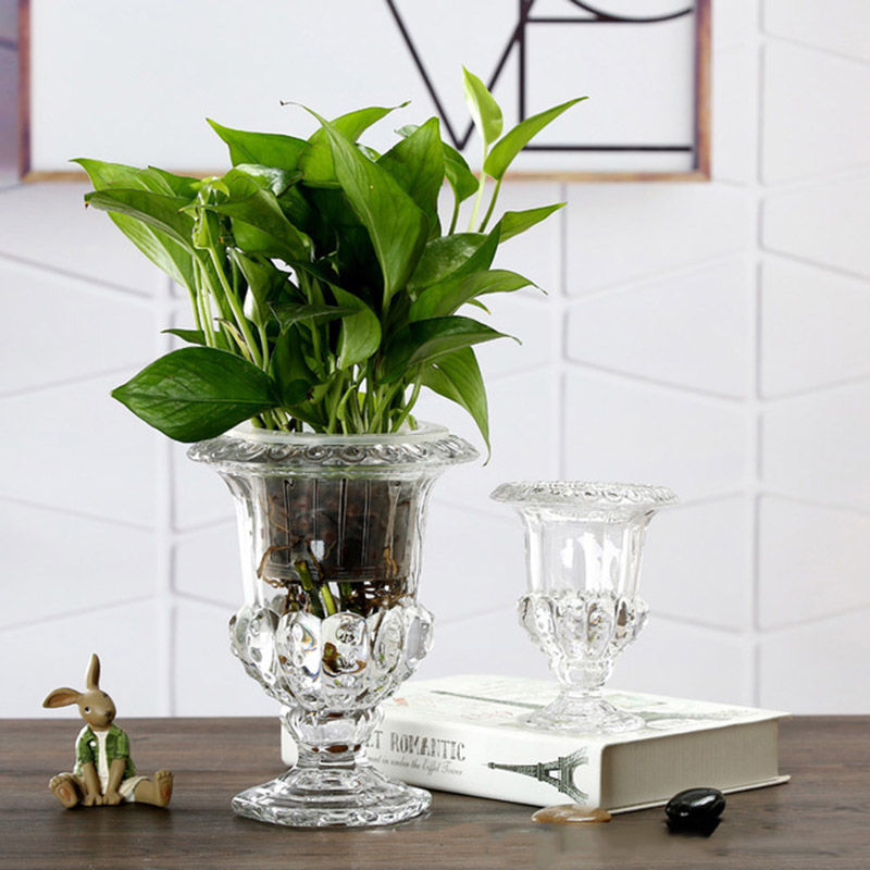 Klarglas Blumenvase Stiel Pfla – Desk Setup Plants Bewertung und Preis