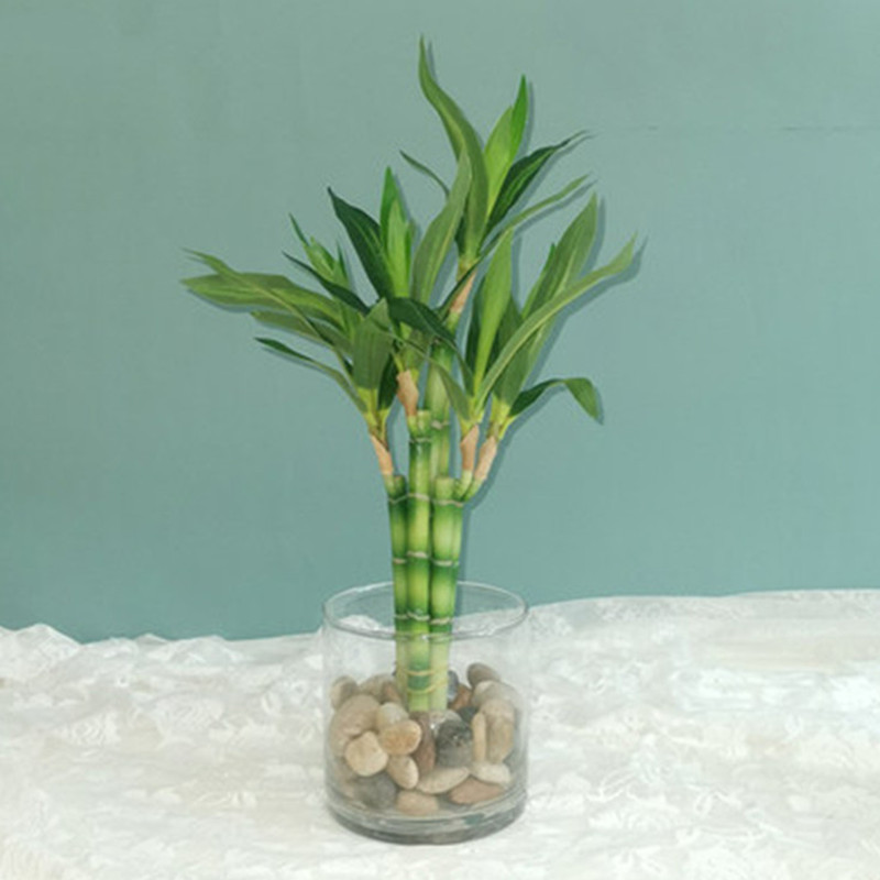 Neue 40 cm rFtificial Lucky Ba – Desk Setup Plants Bewertung und Preis
