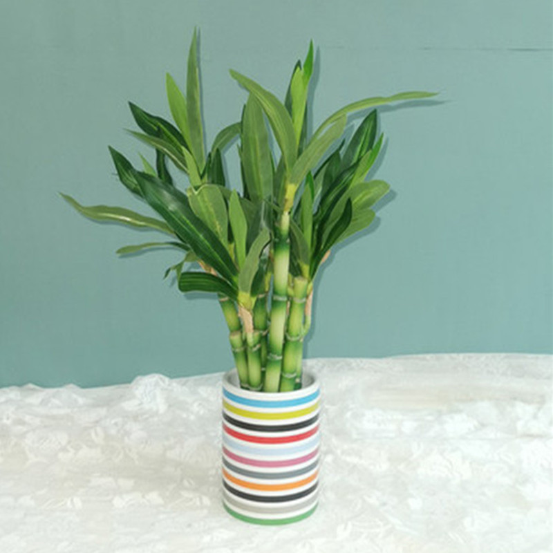 Neue 40 cm rFtificial Lucky Ba – Desk Setup Plants Bewertung und Preis