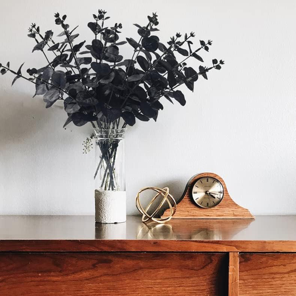 4 Zweige mit Geldblättern, Kün – Desk Setup Plants Bewertung und Preis